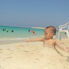 ادم محمد