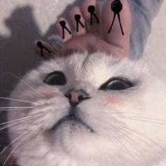 qqew