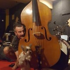 Studio Fantastic