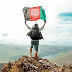 Halimi