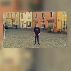 meeuwsen