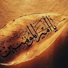 Syed Qasim Raza