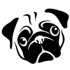 Pugnacious