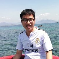 Việt Anh