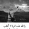 نبيل فوزى