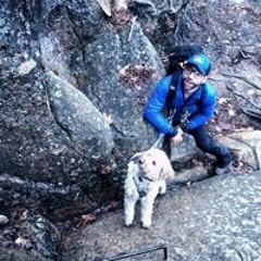 the whale and the wolf