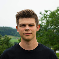 Alexander Fink