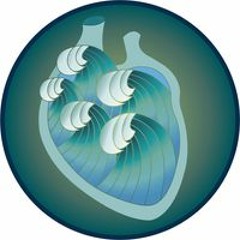 Veronica Villela Elizondo