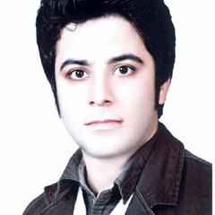 Saeed Gholipour