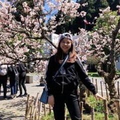 王小美