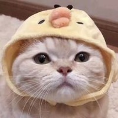 BEnG