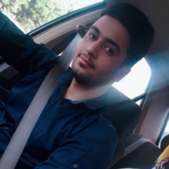 mehdi ardestani