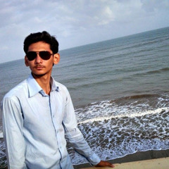 Syed Ehtesham Hamza