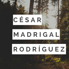 Cesar Madrigal Rodriguez