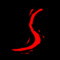 The Shadow