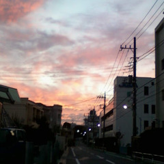 めたけ