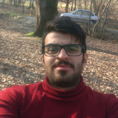 Mohsen Khalili