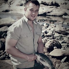 Stevo