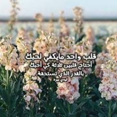 Osama Mouir