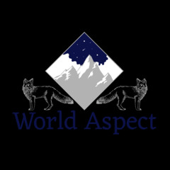 World Aspect