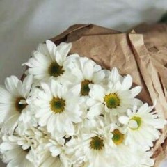 Eman Mohamed