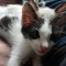 Pedro.xt