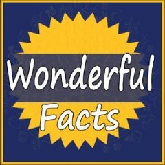 Wonderful Facts