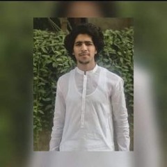hamza Akbar