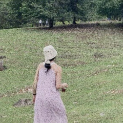 송윤미