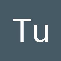 Tu Le Dinh