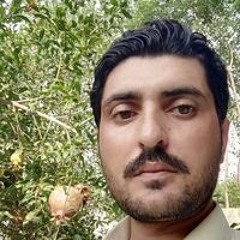 Muhammad Zahid