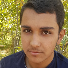 mohamadreza