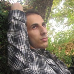 Reza T. Bibalan