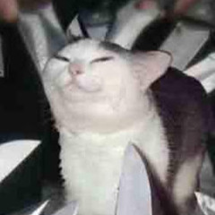 ΜΞŦŽ ŦĦΔŦ