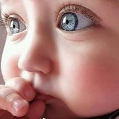 mostafa nosier