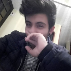 Naren Sebastian Villamik