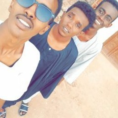 Mohamed Alshazly