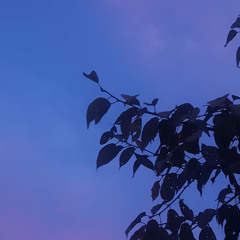 김산기슭
