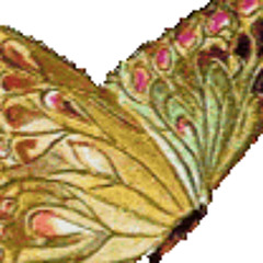 shahram bumpoori