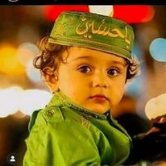 Fiza Channa