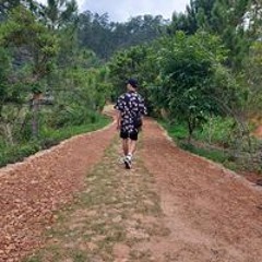 nonoon