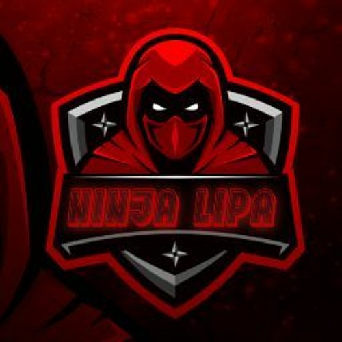 ninja lipa’s avatar