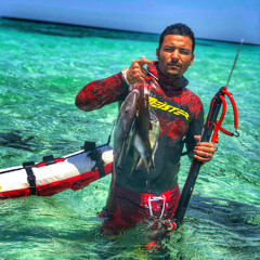 mo diver