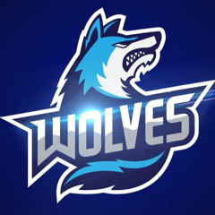 WolfGamingYT