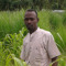 Nasreldin Hussien