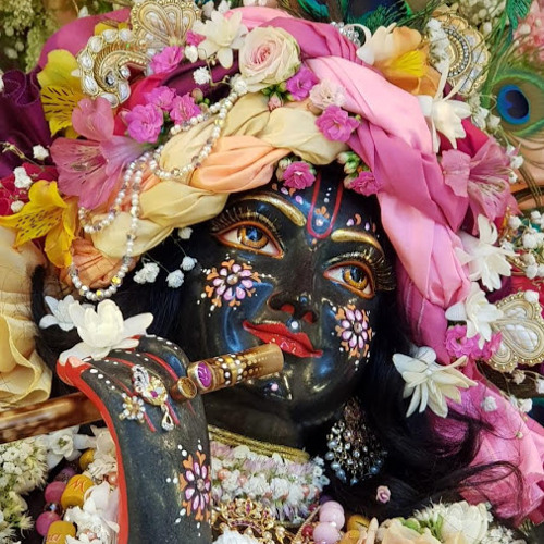 Sri Nandarani’s avatar