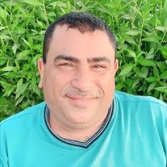 Ahmed M Dweesh