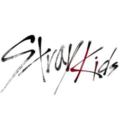 StrayKids Unboxing