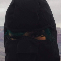 Cricetinae et Sambucus nigra