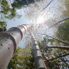 NOD (Not over yet. Dream it)